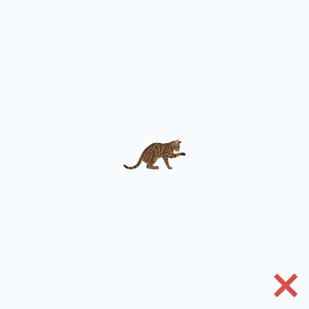 Bad example: photo taken too far away to identify the bug on cat