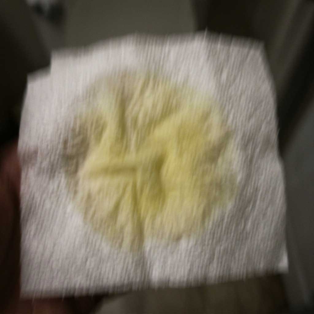 Bad example: blurry or dim photo of cat urine