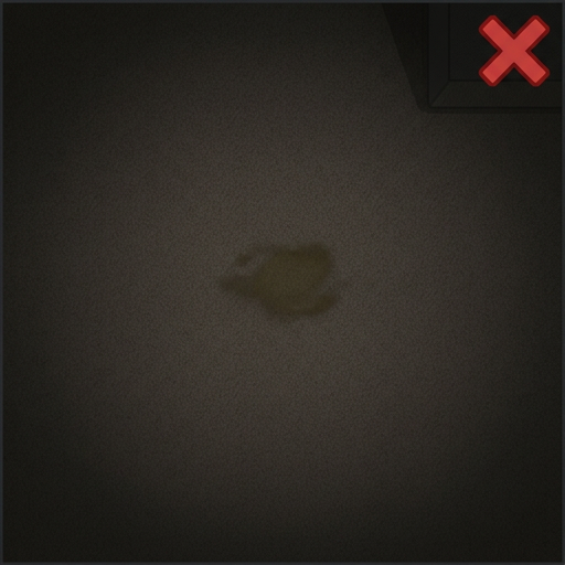 Bad example: dark blurry photo of cat vomit