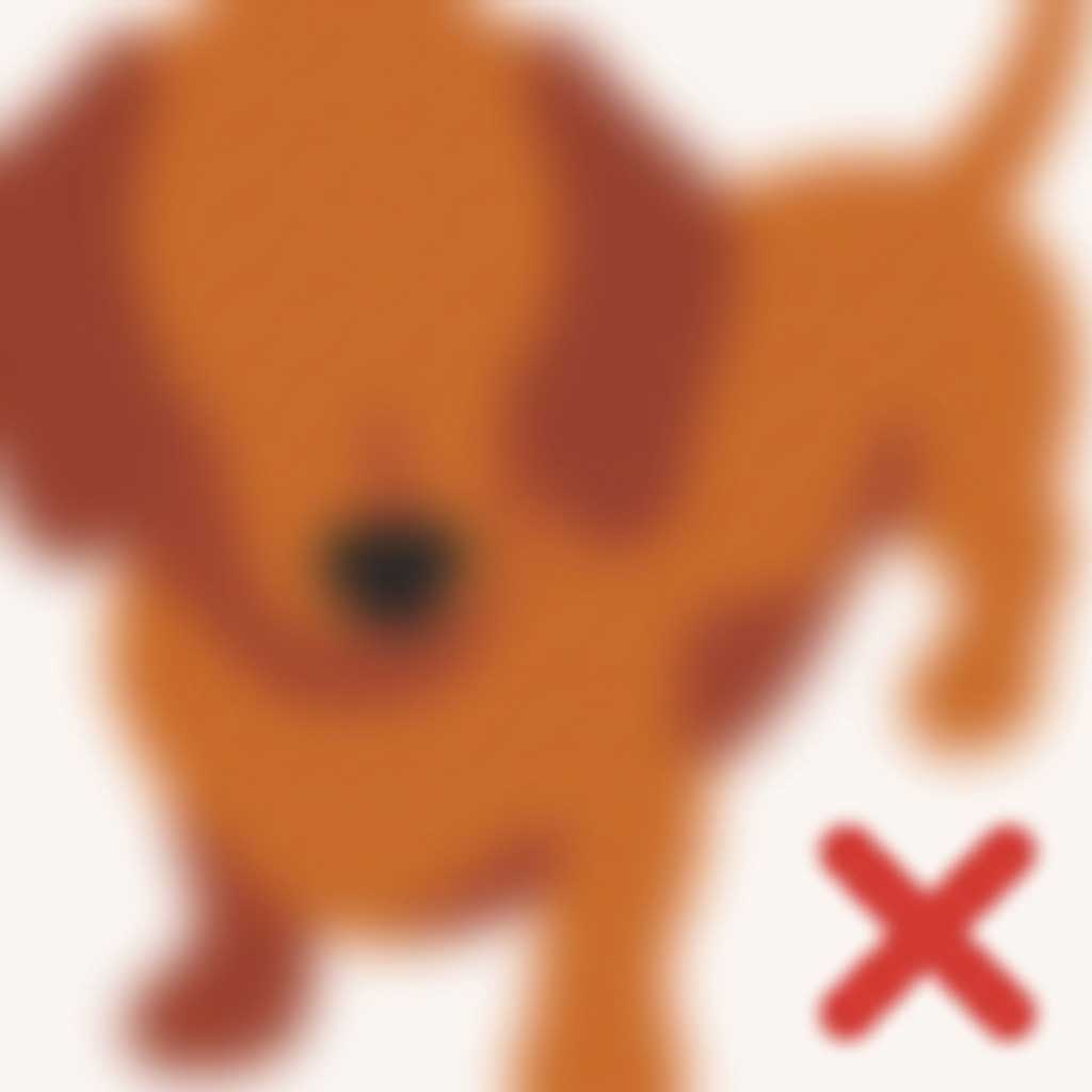 Bad example: blurry photo of bug on dog fur