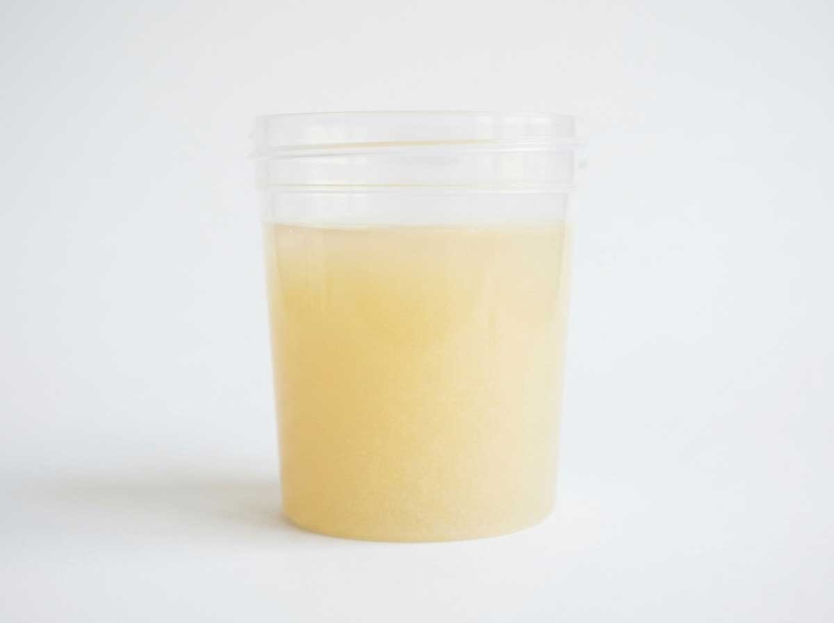Dog urine sample showing cloudy or milky appearance indicating UTI or crystals