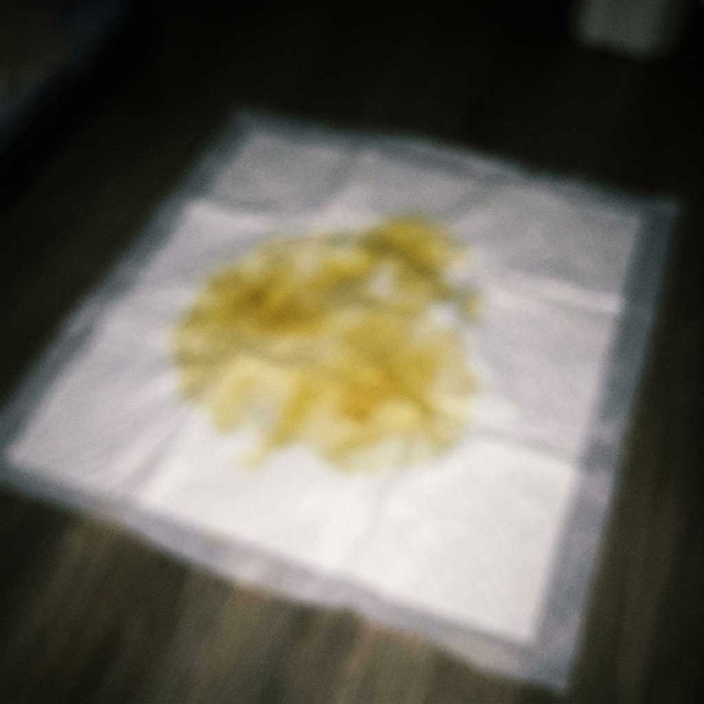 Bad example: blurry or dim photo of dog urine